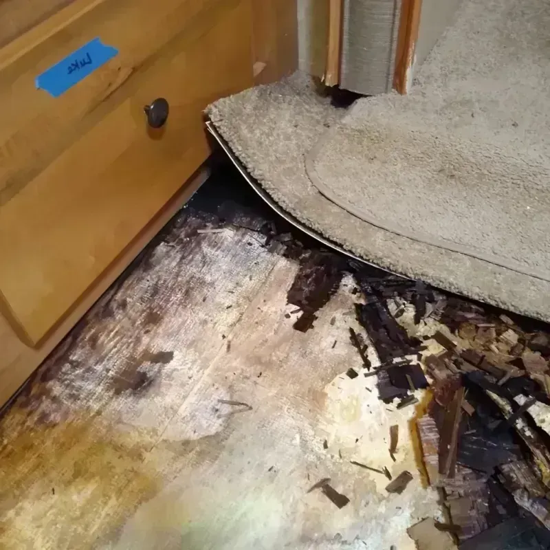 Wood Floor Water Damage in Clemson, SC